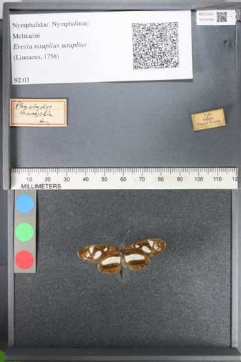 Media type: image;   Entomology 101063